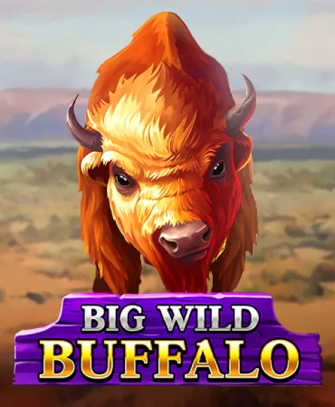 Play Big Wild Buffalo at Lapilanders Casino